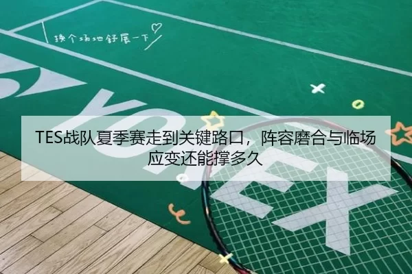 TES战队夏季赛走到关键路口，阵容磨合与临场应变还能撑多久